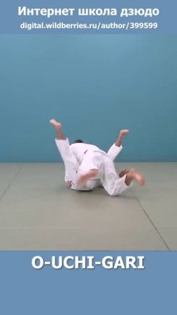 Интернет школа дзюдо. O-UCHI-GARI2