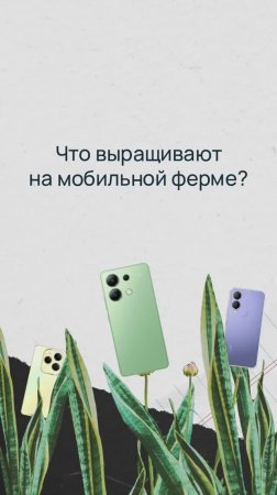 Что выращивают на мобильной ферме Selectel?