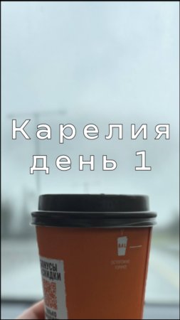 Путешествие в Карелию. День 1 #путешествия #поездка #карелия
