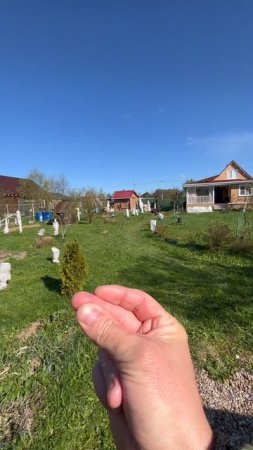 Благоустройство участка в Чехове. До и после.