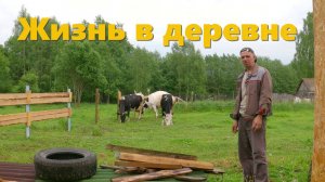 Начало лета, дела деревенские!