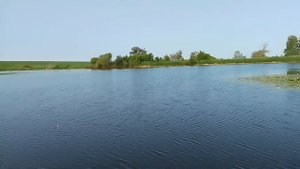 VID_20250609_073851~2.mp4 поймал одного маленького карасика 🎣🎣🎣🤣