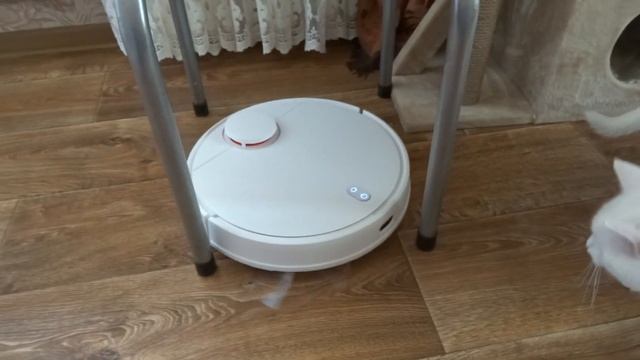 Xiaomi Robot Vacuum S12 EU подключение и настройка в MiHome, реальные тесты робота пылесоса. ЧАСТЬ 2 смотреть онлайн