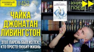 🐔🪽 ЧАЙКА ДЖОНАТАН ЛИВИНГСТОН || Обзор книги Ричарда Баха || Спидран по прочитанному