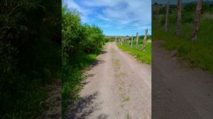 🤍💙❤️село Домасово, Забайкальский край 🔥 🤍💙❤️