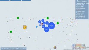 Чашка Петри STREAM #10 (Последний)