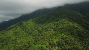 Знак и техника "Круг совершенства"