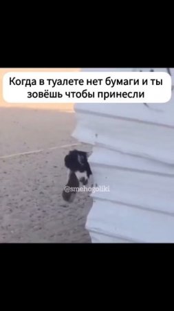 😆😆😆