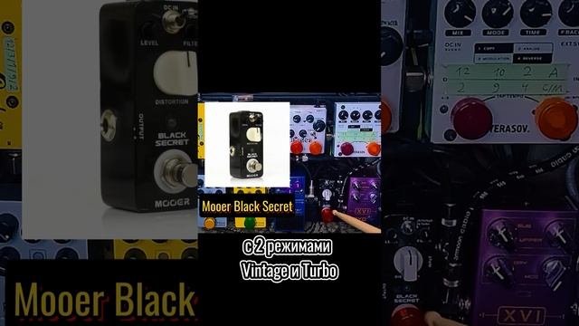 Экспресс-обзор педалборда, который использую дома, на записях, репетициях и концертах #педалборд
