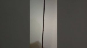 Укрепили шкаф, свозили детей на дачу, проверили деревья