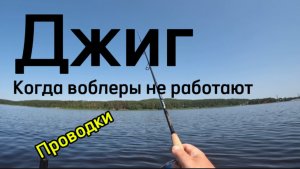 Джиг, когда воблеры не работают. Джиговые проводки.