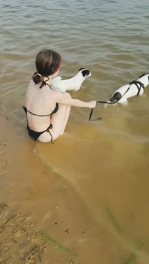 250608 Пляж, сёрфинг, вейкборд, собаки, воздушный змей на озере Светлая Жизнь город Орёл Лето в Орле