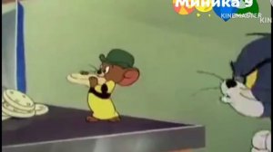 Смена логотипа Миника 9 (01.06.2025)