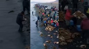 Держите краба Камчатка