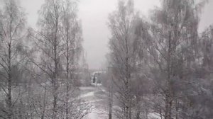 Выпал первый  снег ! Красивая зимняя сказка !