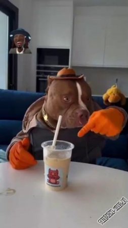 Забрёл, как то я в ,,,,,, !!!!!!!