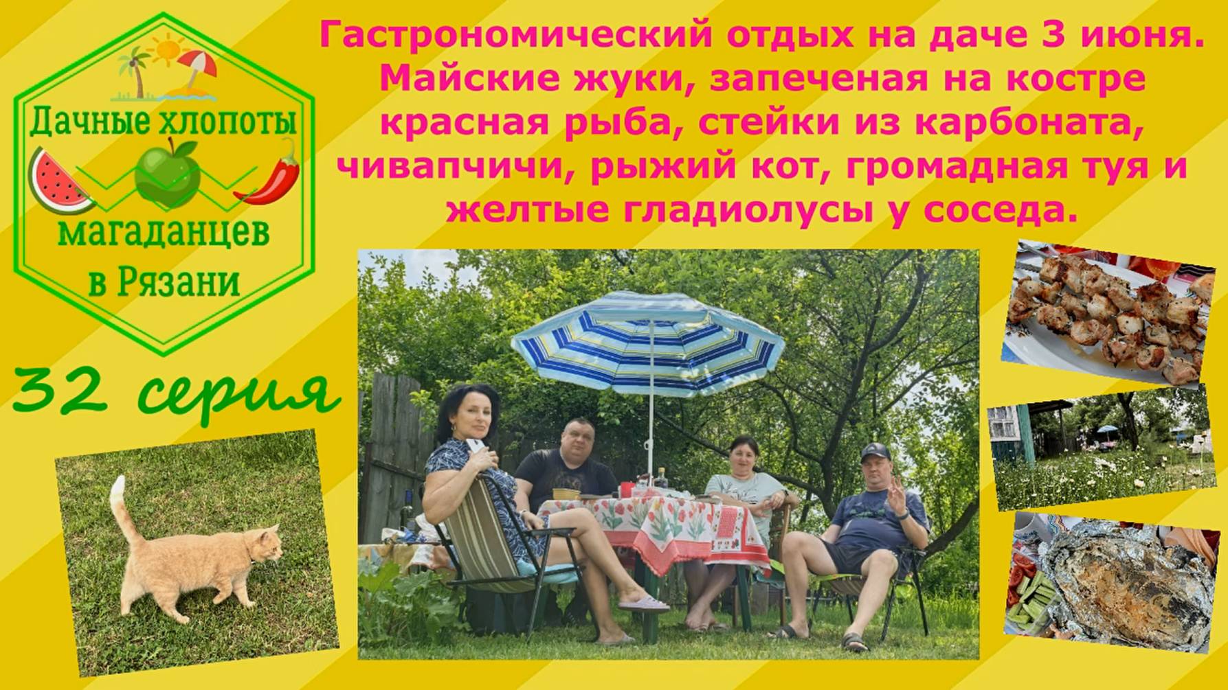 Гастрономический отдых на даче. Майские жуки, рыба, стейки, рыжий кот, туя и гладиолусы у соседа.