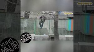 Да.. Точно "Брильянтовая рука" вспомнилась!.. 🤣