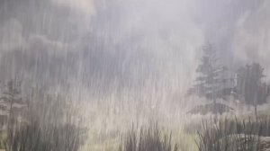 Новости канала!🍃 Я удалила видео с разоблачением?🪻