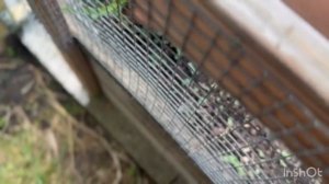 6Июня.Мой день как он есть...