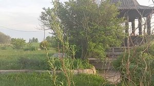 Колоцкий монастырь. Святой Источник.