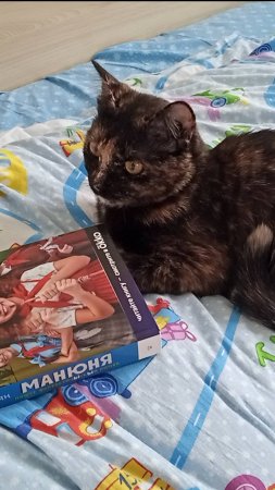 Я люблю вас💗