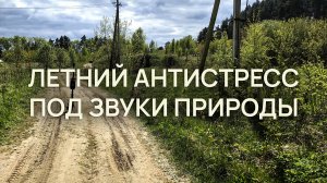 Летний антистресс: медитация под звуки электросамоката и природы | ASMR эмбиент