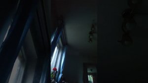 Где-то на хуторе зеленоградского района...