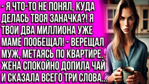 Я что-то не понял, куда делась твоя заначка! Я твои два миллиона уже маме пообещал! - верещал муж..