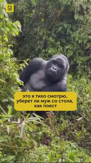 Знакомо, девочки?😂 #foodru #рецепты #юмор