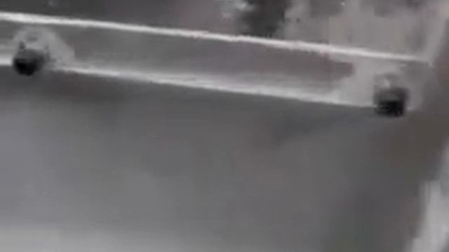 Однороторные шредеры серии Little. Китай Премиум - 1