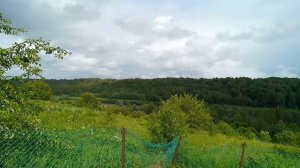 Нижние Тиккулы