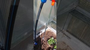 Полив-туман в парничках своими руками ГАЛИСАД ЧЕРЕПОВЕЦ
