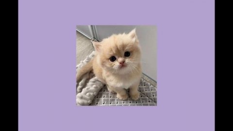 🎀песни для танцев🎀песни для уборки🎀