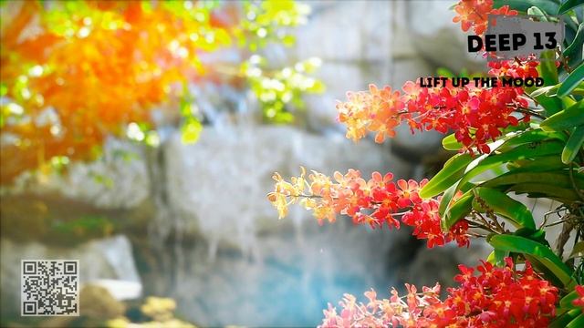 VP - Jiaoshi (Original Mix)