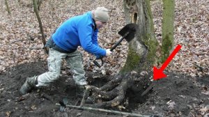 Неожиданная НАХОДКА в Лесу под СОСНОЙ, Такой СТАРИНЫ не Ждали здесь ОТКОПАТЬ!