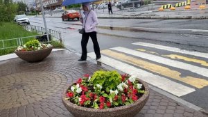 В СПб погода не балует, дождь целый день.