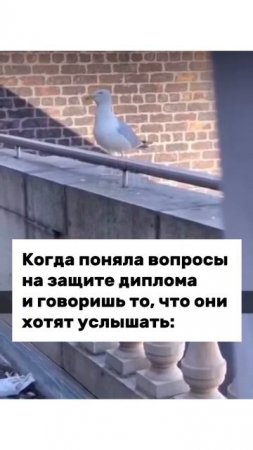 Умничаем
