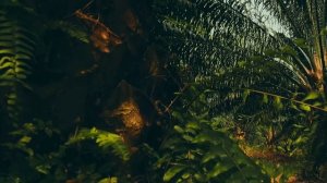 Пхукет (Таиланд)