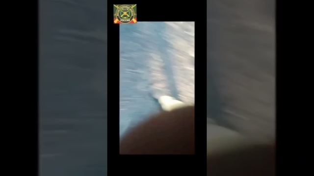 "В этом есть смысл"