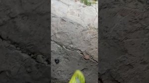 моя деревня часть 2