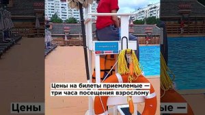 «Лето в Москве»: бассейны под открытым небом, лежаки и лимонад