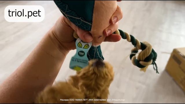 ШОКИРУЮЩИЕ ДЕРЕВЕНСКИЕ НОВОСТИ ОТ РЫЖЕГО ФЕРМЕРА