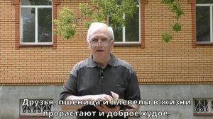 Михаил Румачик -"Пшеница и плевелы"| Церковь ЕХБ Истра