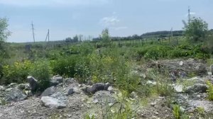 СНТ Рябинка, 9 сот, 500 тыс