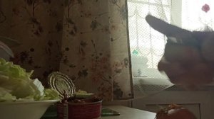 Готовлю первое и второе блюдо. На основе китайской капусты