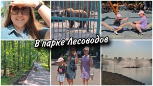 Гуляем всей семьёй в парке Лесоводов. Современная детская площадка.