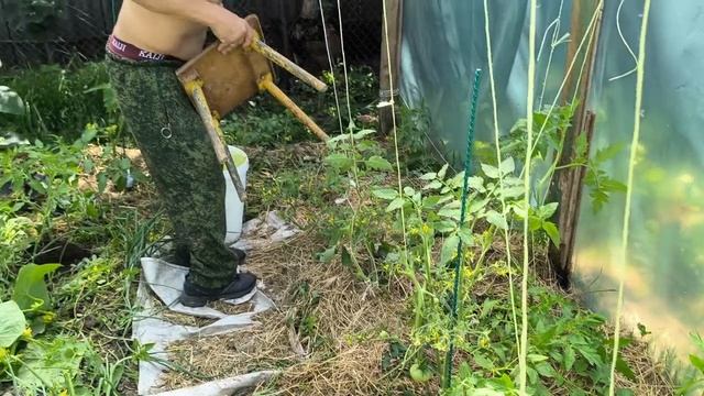 Лето в разгаре мы в угаре.Пополнение в хозяйстве.Жизнь на Кубани