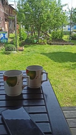 деревенское утро 🐓🌞🐝☕ #утро #деревня #жизньзагородом #дача