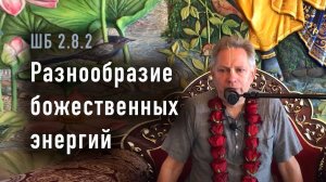 08.06.2025 - ШБ 2.8.2 - Разнообразие божественных энергий - Е.М. Враджендра Кумар прабху